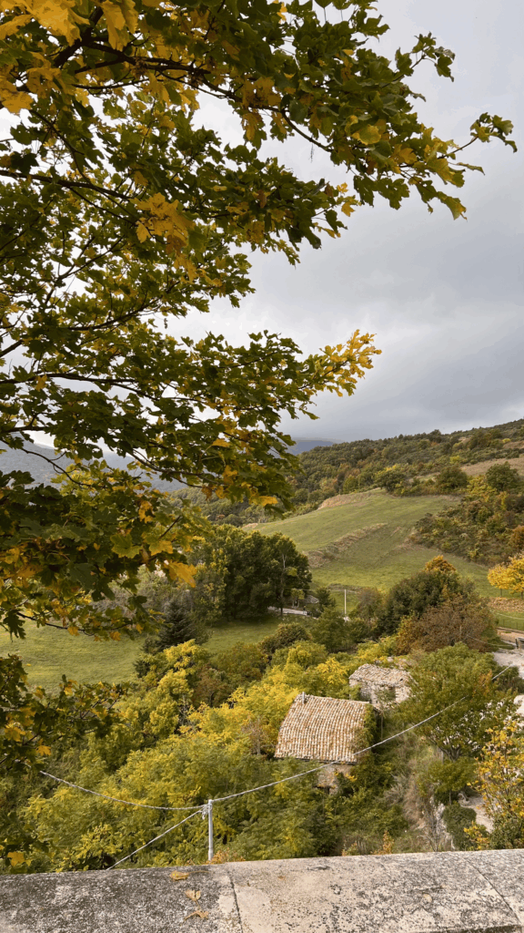 Paisagem na época do outono