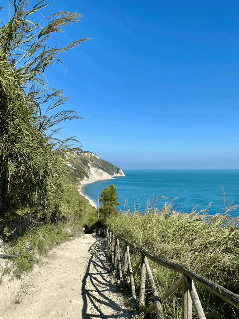 Descida final da trilha