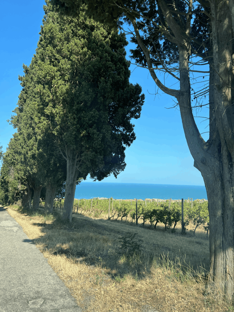 Panorama do jardim e estrada de acesso a Villa