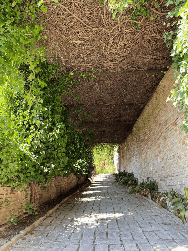 Pergolato onde se escondem jogos de água