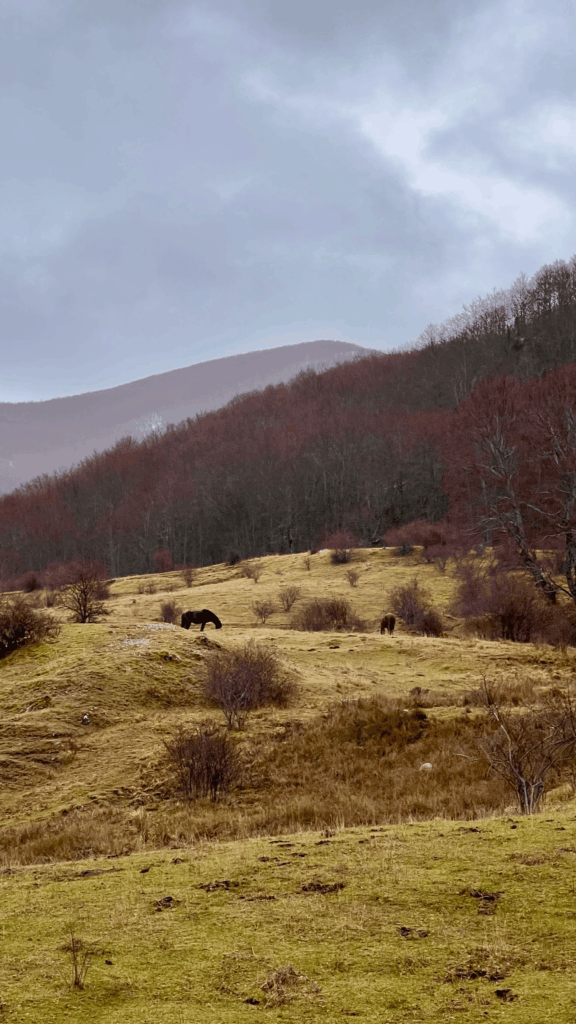 Proximidade do rifúgio, vista das montanhas com os cavalos selvagens