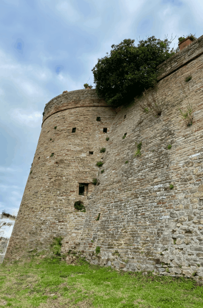 Muros e parte do castelo