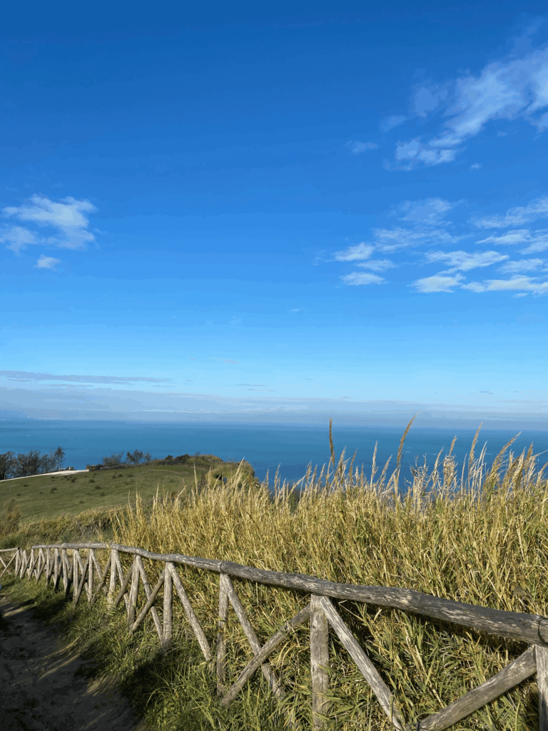 Panorama do Teto do Mundo