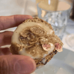 Gastronomia de Marche: sabores autênticos entre o mar Adriático e as colinas